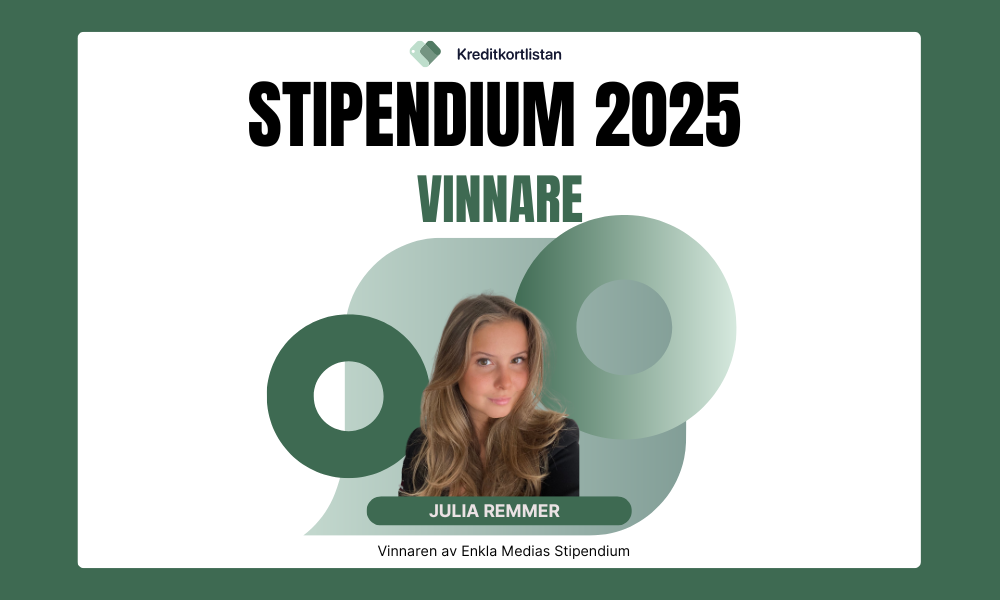 enklamedia julia remmer stipendium